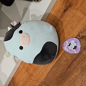 Cillian the blue cow